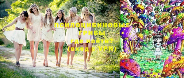 ПСИЛОЦИБИНОВЫЕ ГРИБЫ Валуйки